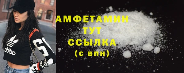 прущие грибы Волосово