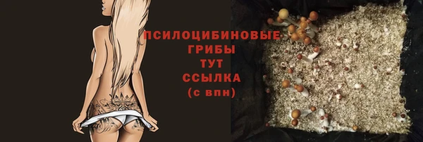 шишки Верхний Тагил