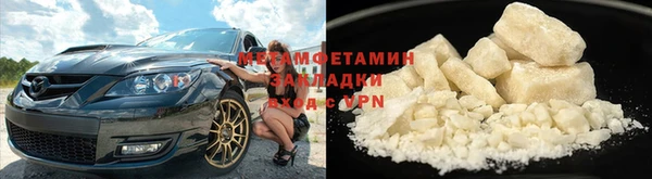 прущие грибы Волосово