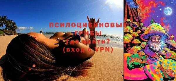 гашик Пересвет