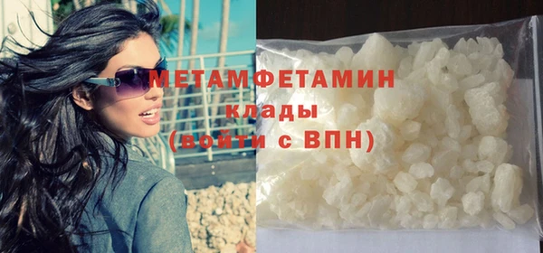 прущие грибы Волосово
