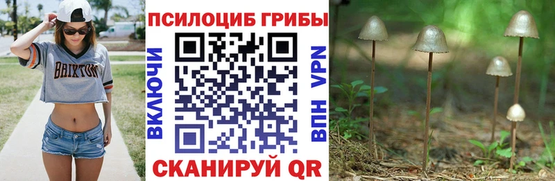купить  сайты  Мариинск  Галлюциногенные грибы мицелий 